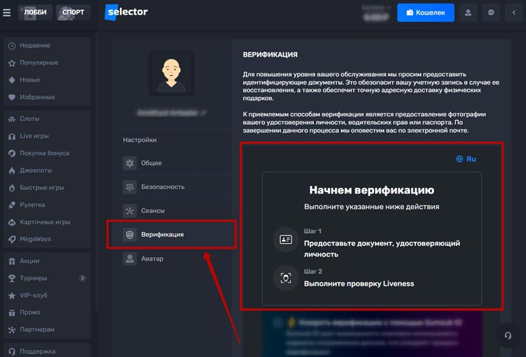 Идентификация профиля